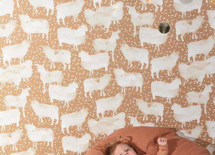 Sleepy Ginger HAP301