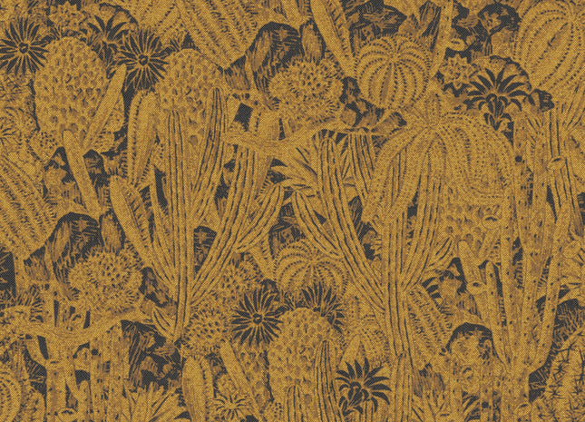 Cactus gold HAV201
