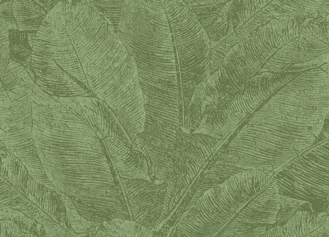 Juan Iguana HAV302