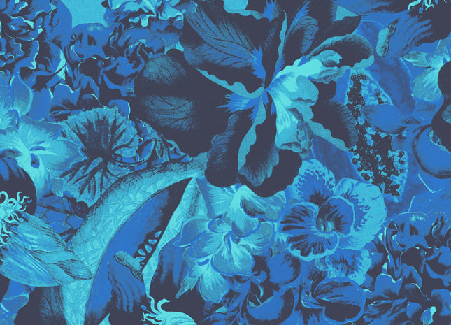 Frida Amparo HAV902