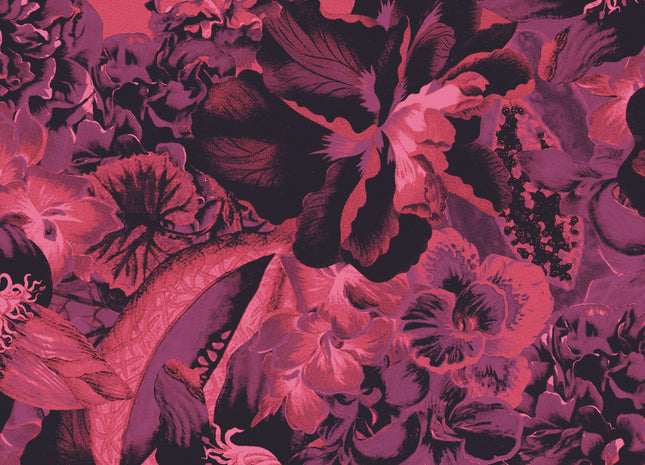 Frida Viola HAV903
