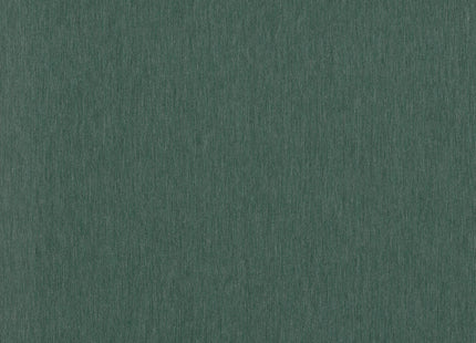 Filo Algae INT408