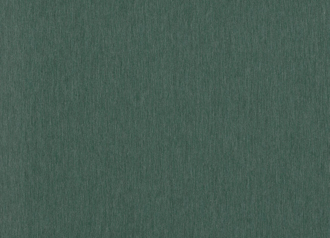 Filo Algae INT408