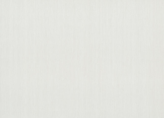 Filo White INT409