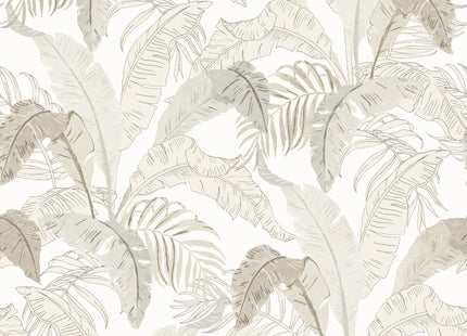 Botanic Snow LOT001