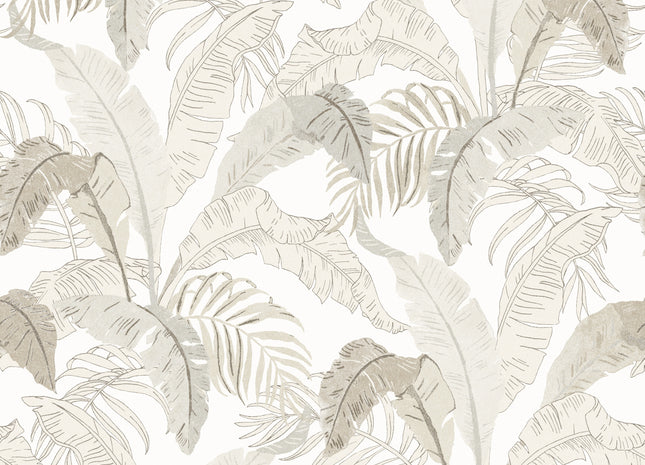 Botanic Snow LOT001