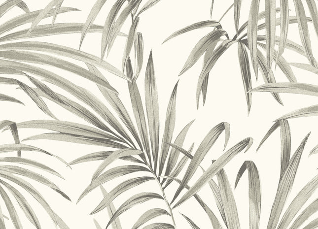 Palm Sand LOT101