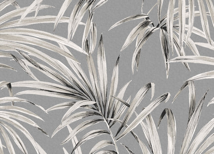 Palm Midnight LOT102