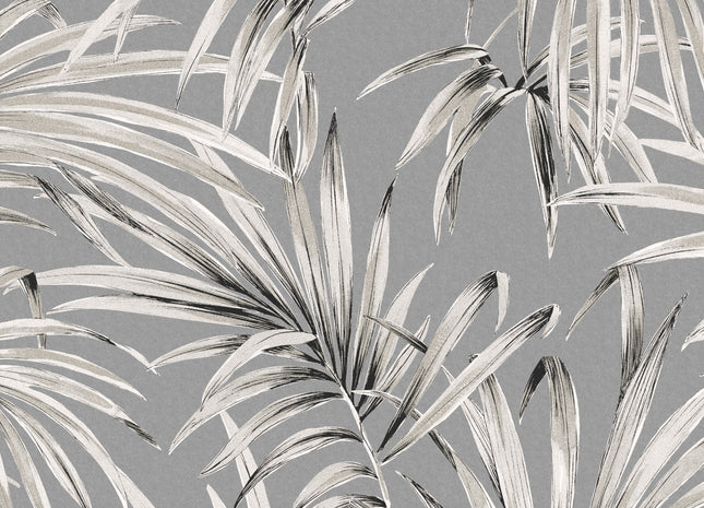 Palm Midnight LOT102