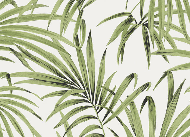 Palm Greenery LOT103