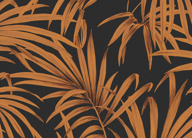 Palm Sunrise LOT105