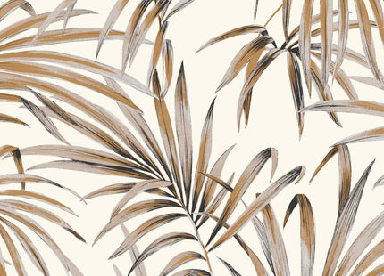 Palm Ginger LOT107