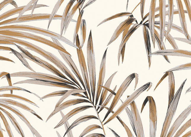 Palm Ginger LOT107