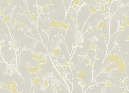 Alder Greenery LOT402