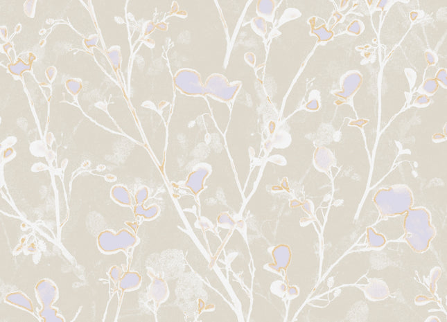 Alder Pastel LOT405