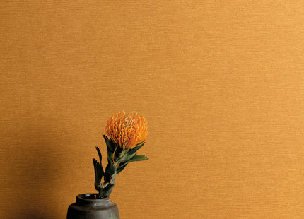 Gini Ochre OLI705