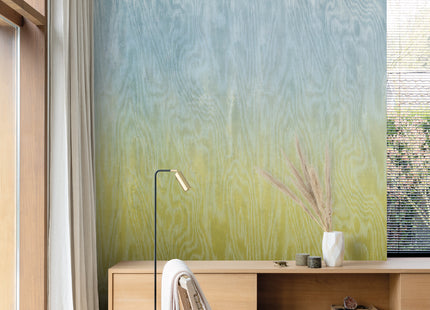Moire Sea DG4MOI1071-260