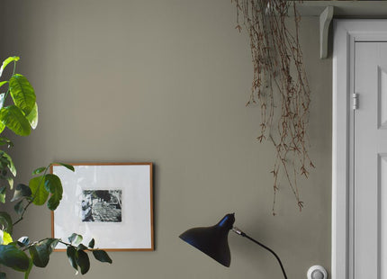 Light Olive 7558