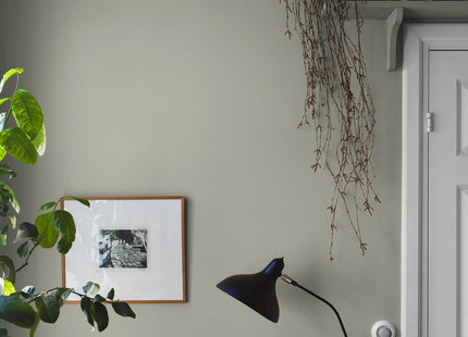 Linden Green 7559