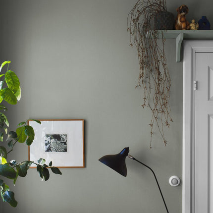 Muster Cambrian Sand 7583