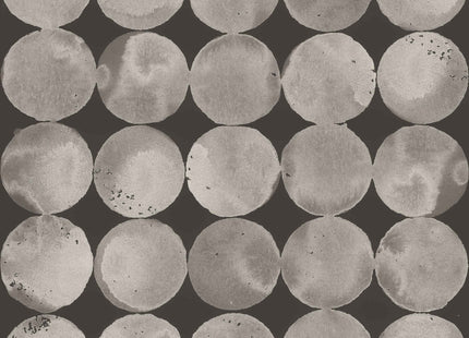 Luna Craters A00115N