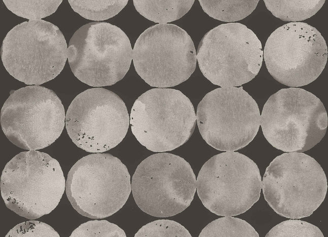 Luna Craters A00115V