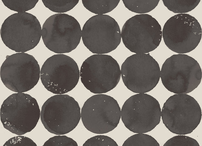 Luna Craters A00116V