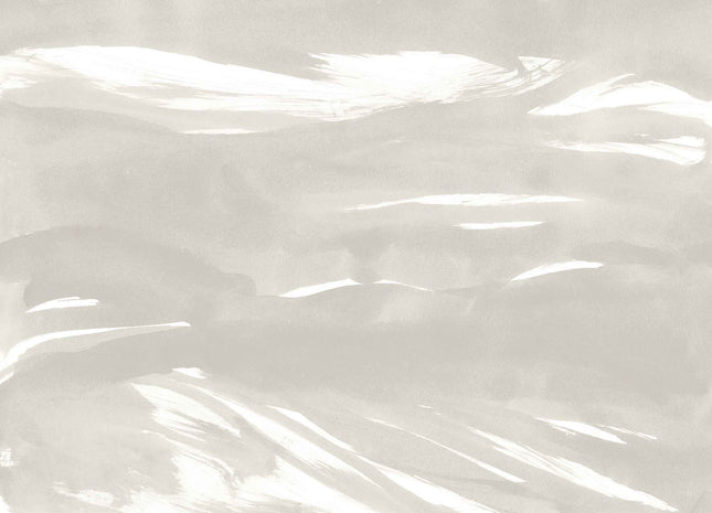 Marine Xray A00143V