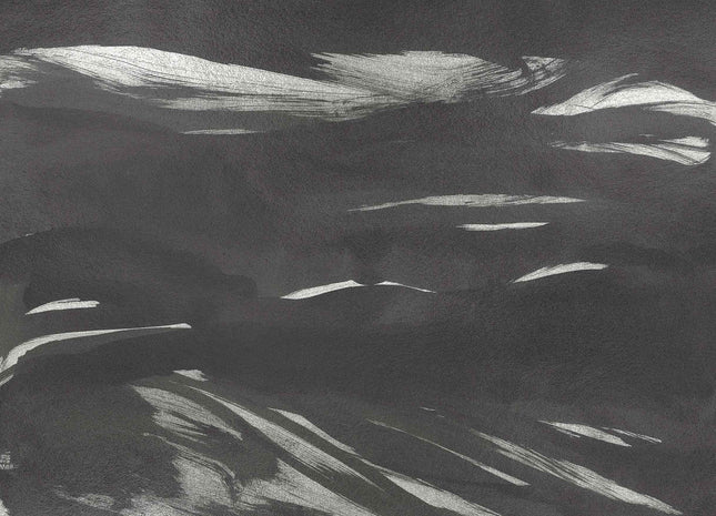 Marine Xray Metallics A00144V