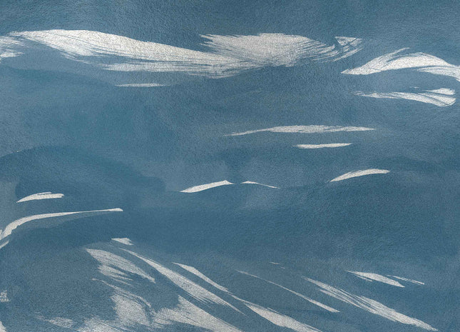 Marine Xray Metallics A00145S