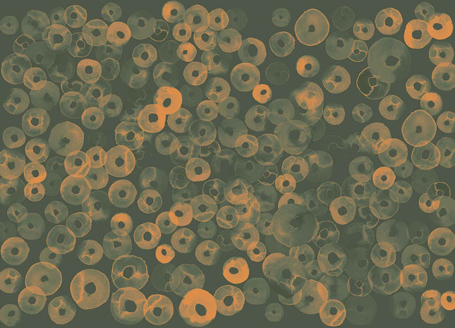 Cellular Patterns A00156V