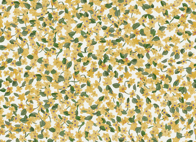 Ana A00228V