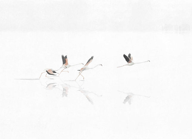 Doñana A00316S