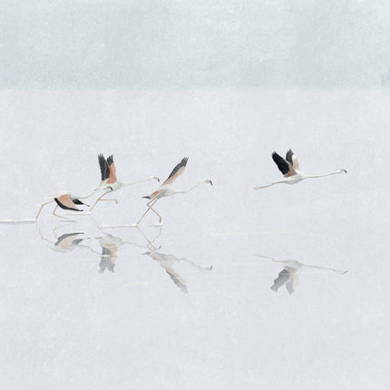 Muster Coordonné A00318L