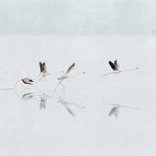 Muster Coordonné A00318L