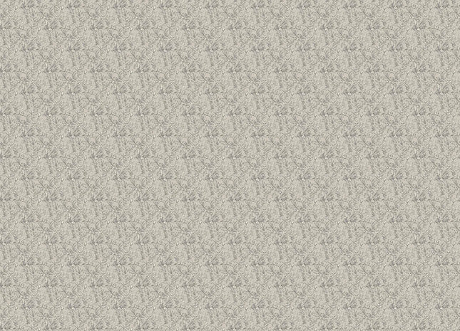 Aceituna A00505V