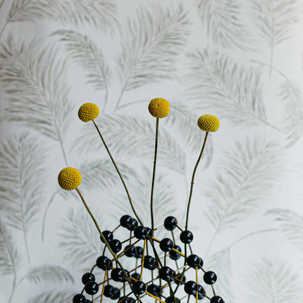 Muster Coordonné A00523N