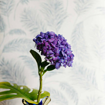 Muster Coordonné A00524V