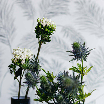 Muster Coordonné A00525N