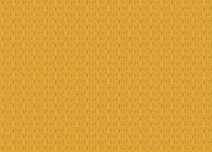 Herbario A00611V
