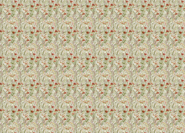 Pradera A00626V