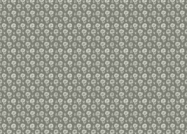 Parterre A00631V