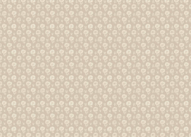 Parterre A00634N