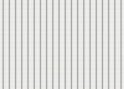 Stripe 2 A00724N