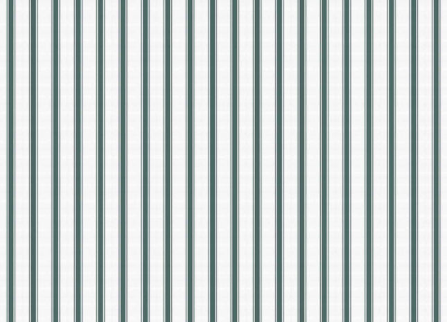Stripe 5 A00727V