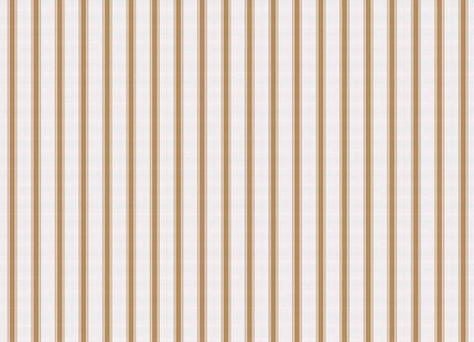 Stripe 5 A00730V