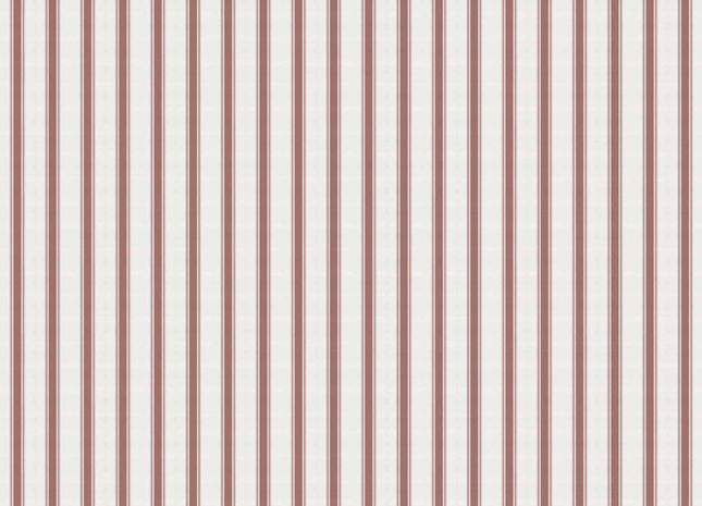 Stripe 5 A00731V