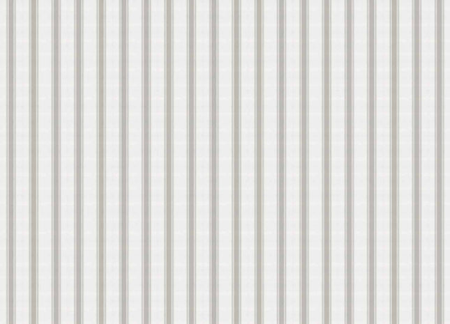 Stripe 5 A00732V