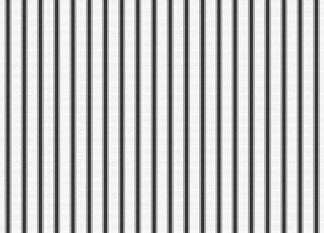 Stripe 5 A00733N