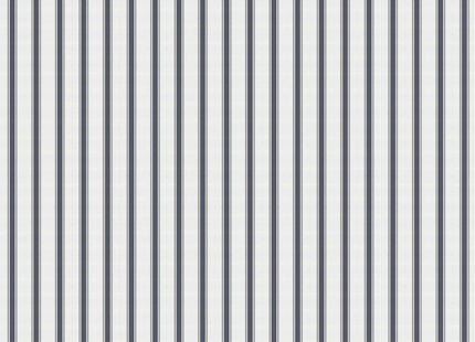 Stripe 5 A00735V